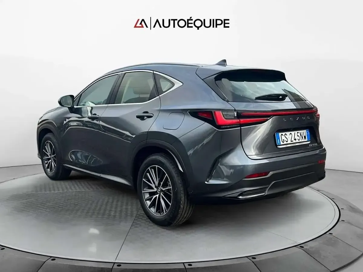 Usata Lexus NX350h Business Edition 243 CV (178 kW) 2023 Grigio SUV