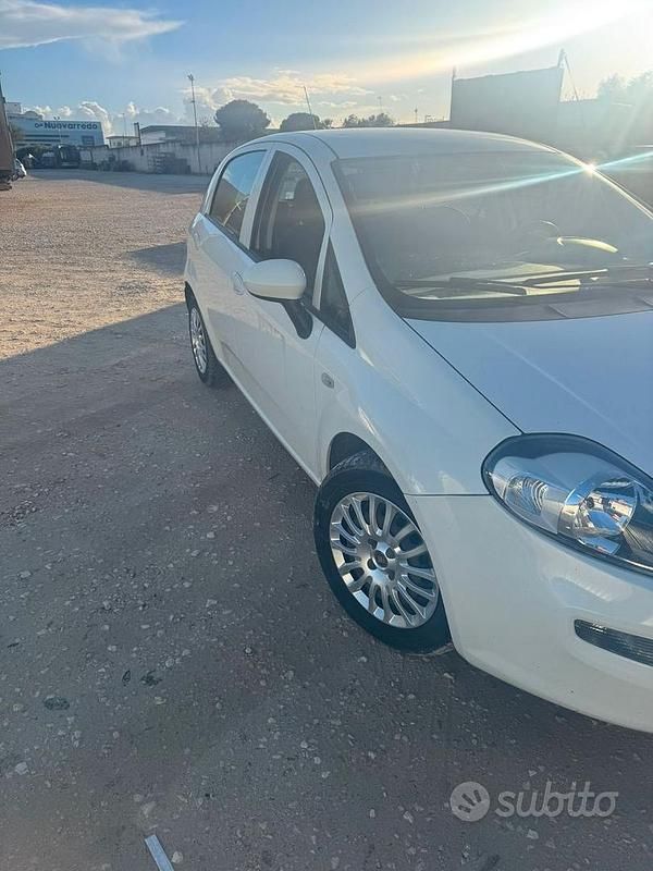 Usata Fiat Punto Evo 75 CV (55 kW) 2015 Bianco Utilitaria