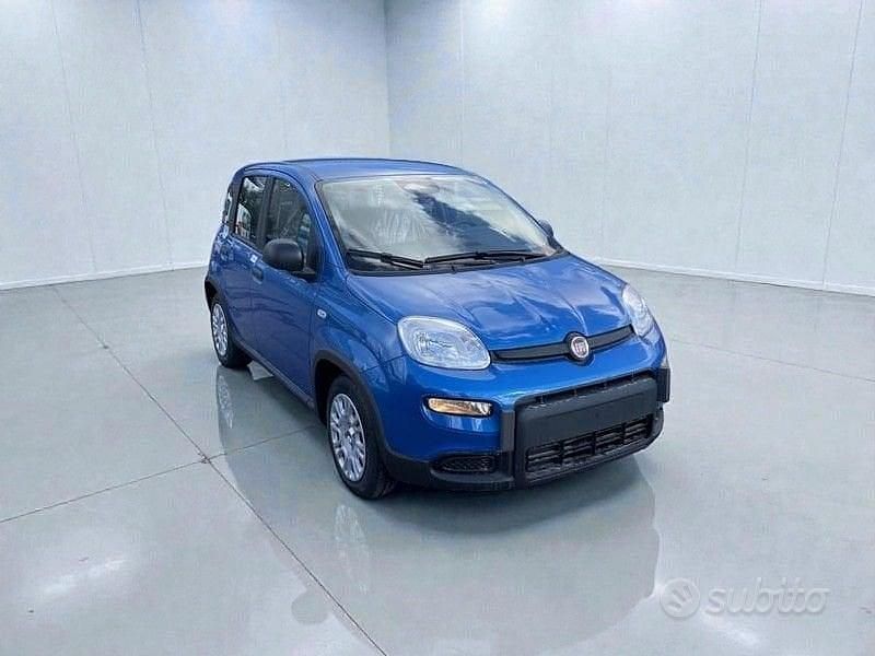 Usata Fiat Panda Pop 70 CV (51 kW) 2024 Bianco Utilitaria