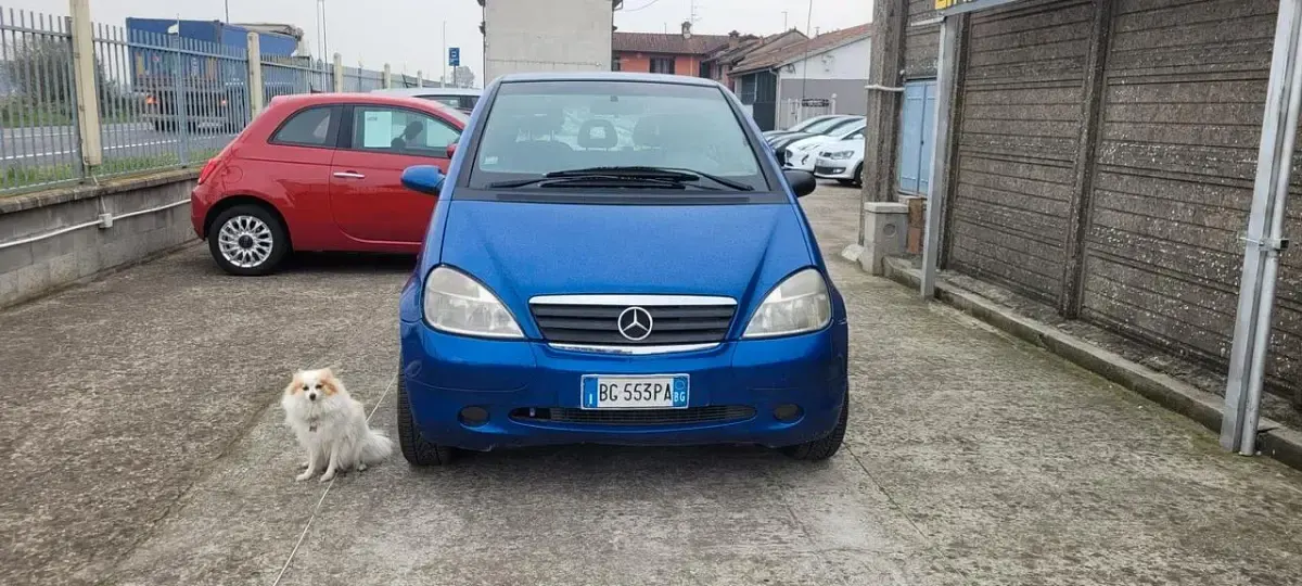 Usata Mercedes A160 Avantgarde 102 CV (75 kW) 2000 Blu Berlina