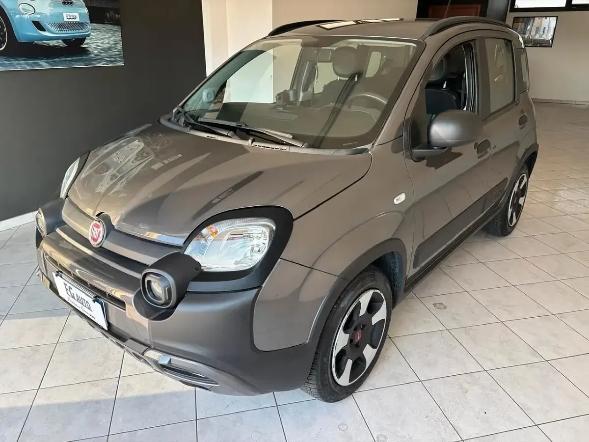 Usata Fiat Panda Cross Cross 69 CV (50 kW) 2020 Grigio Utilitaria