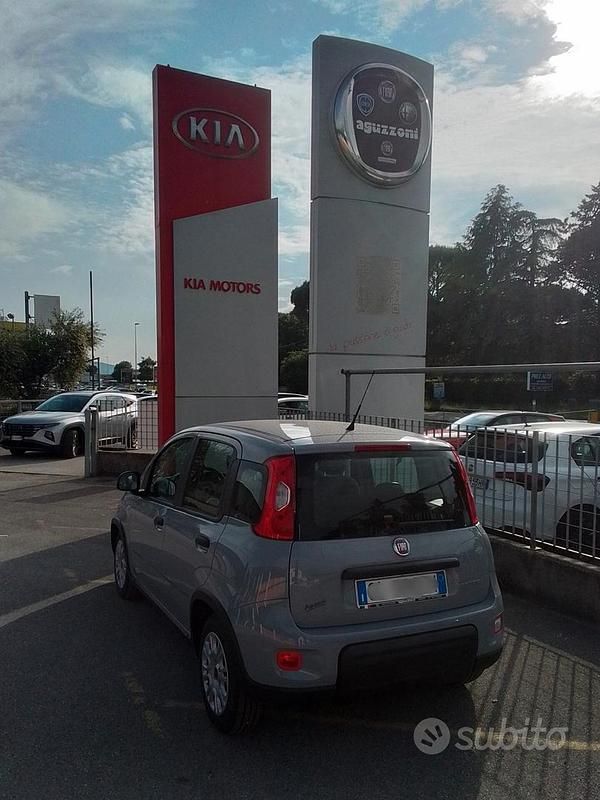 Usata Fiat Panda S 70 CV (51 kW) 2022 Grigio Utilitaria