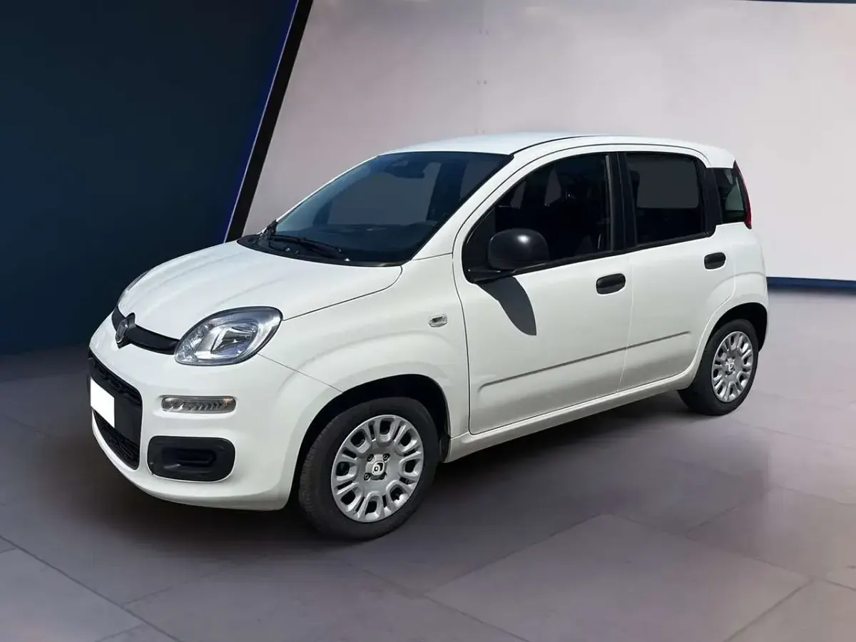 Usata Fiat Panda 69 CV (50 kW) 2025 Bianco Utilitaria