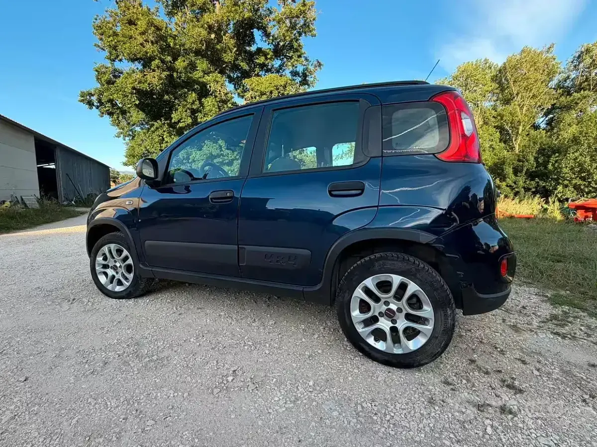Usata Fiat Panda 4x4 95 CV (69 kW) 2018 Utilitaria