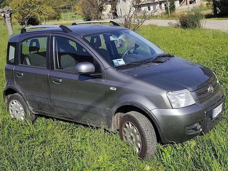 Usata Fiat Panda 4x4 Climbing 75 CV (55 kW) 2013 Grigio Utilitaria