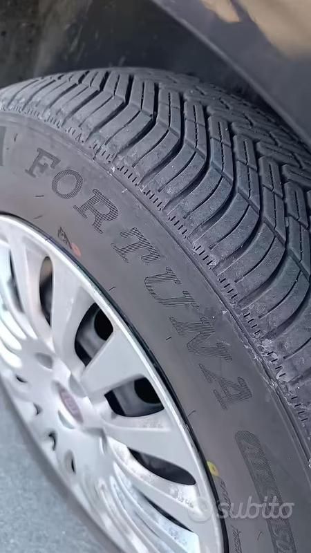 Usata Fiat Punto 77 CV (56 kW) 2009 Utilitaria