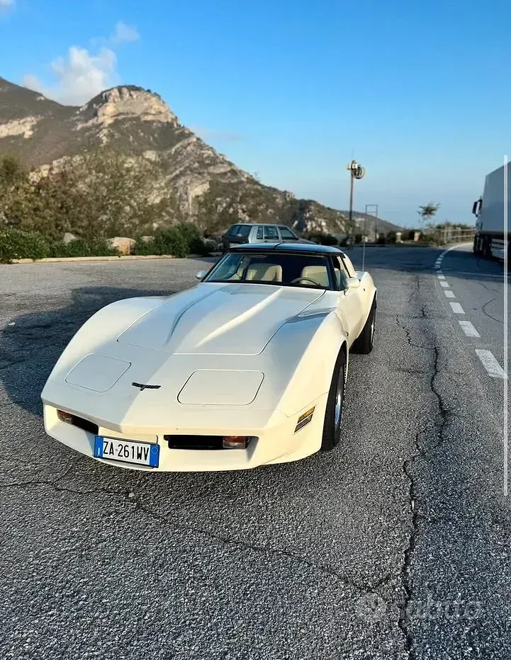 Usata Corvette Stingray 1980 Bianco Coupé