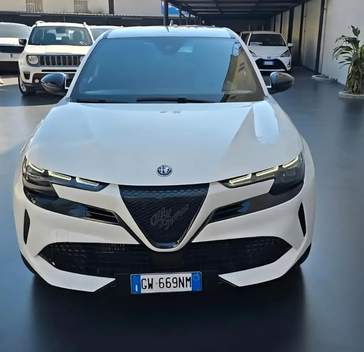 Usata Alfa Romeo GT Junior 136 CV (100 kW) 2024 Bianco SUV