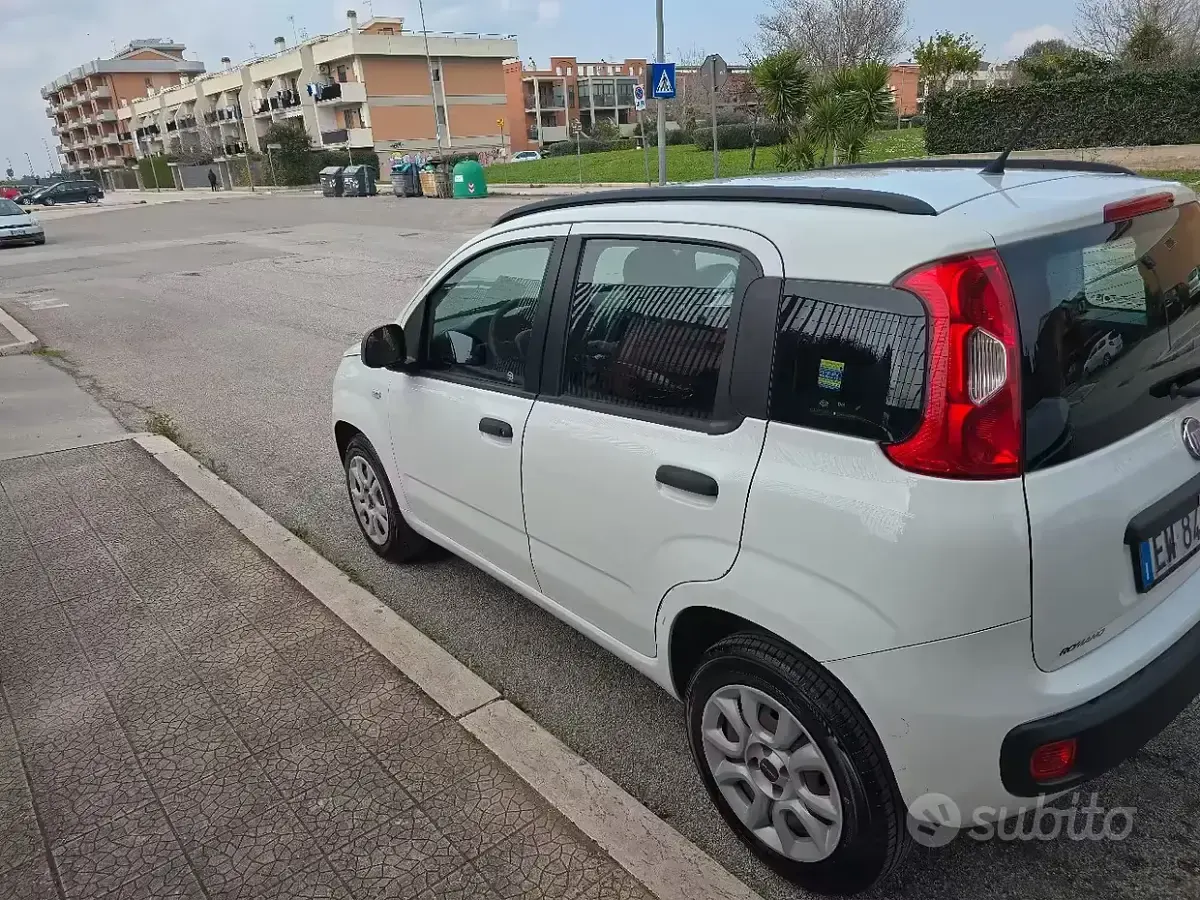 Usata Fiat Panda 85 CV (62 kW) 2014 Utilitaria