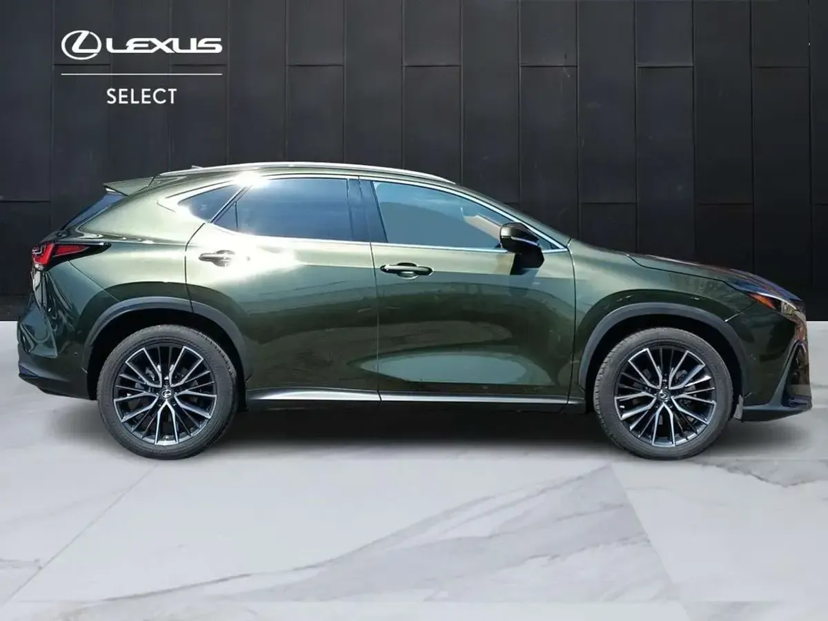 Usata Lexus NX300h Luxury Line 243 CV (178 kW) 2022 Verde SUV