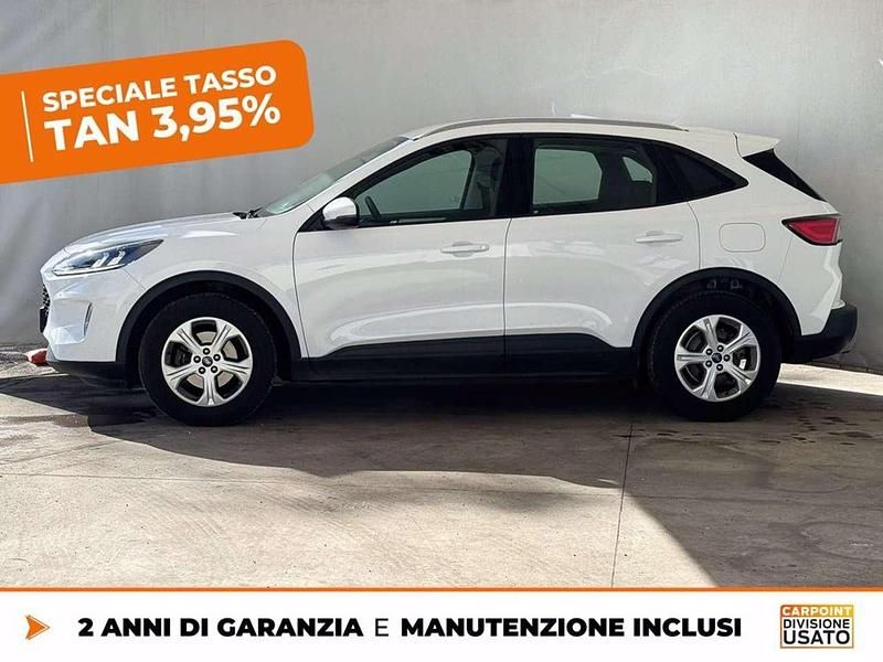Usata Ford Kuga Titanium 120 CV (88 kW) 2020 Bianco SUV