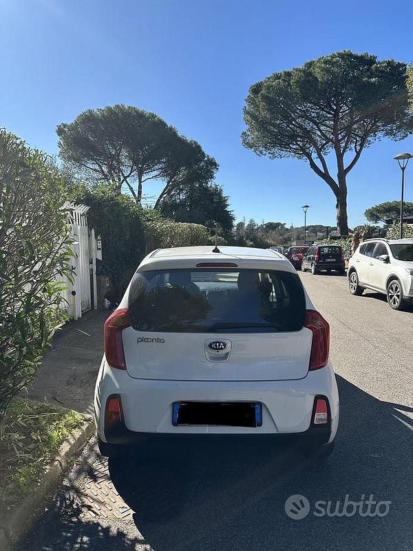 Usata Kia Picanto 2017 Bianco Utilitaria
