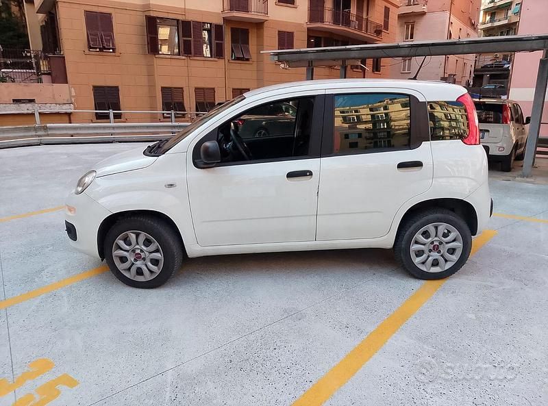 Usata Fiat Panda 2020 Bianco Utilitaria