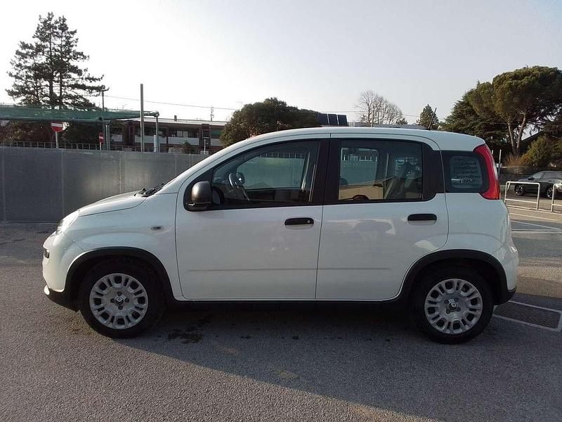 Usata Fiat Panda S 69 CV (50 kW) 2025 Bianco Utilitaria