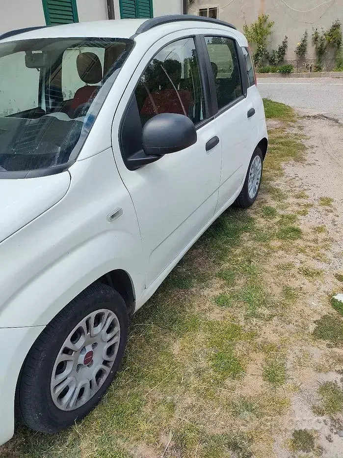 Usata Fiat Panda 75 CV (55 kW) 2013 Bianco Utilitaria