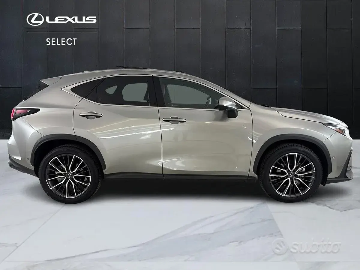 Usata Lexus NX350h Luxury Line 190 CV (139 kW) 2024 Grigio SUV