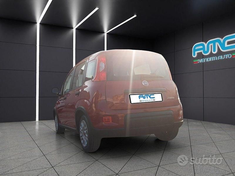 Usata Fiat Panda S 69 CV (50 kW) 2024 Rosso Berlina