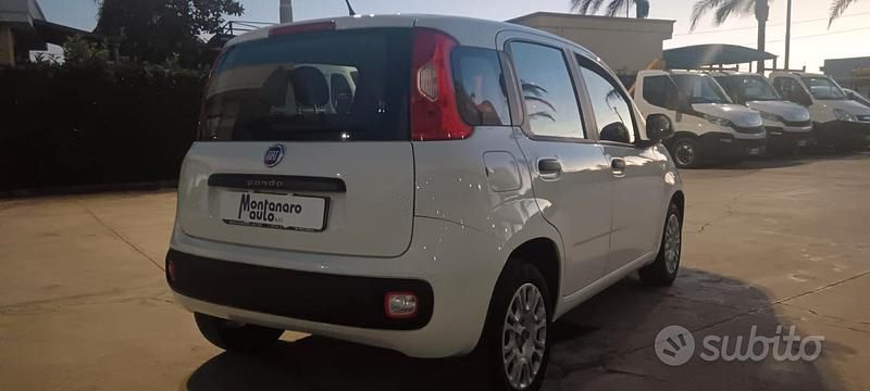 Usata Fiat Panda Easy 69 CV (50 kW) 2019 Bianco Berlina