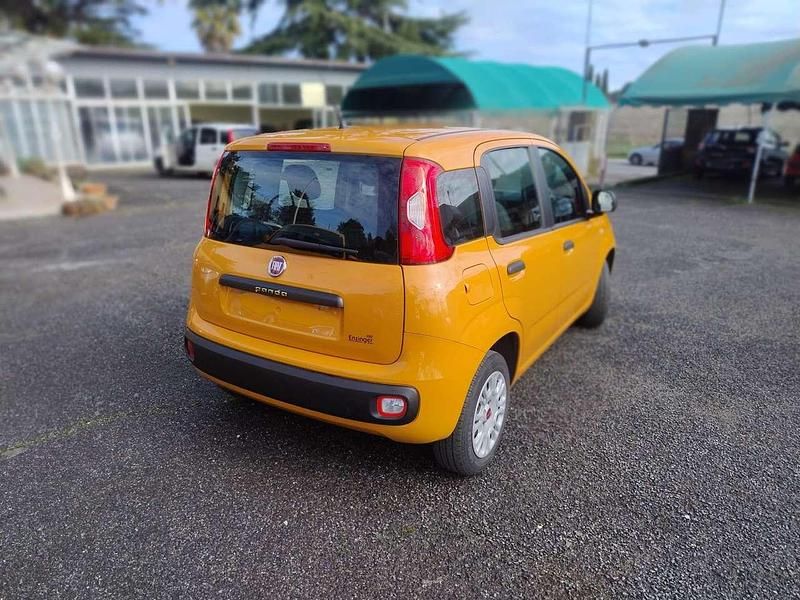 Usata Fiat Panda Easy 69 CV (50 kW) 2020 Arancione Utilitaria