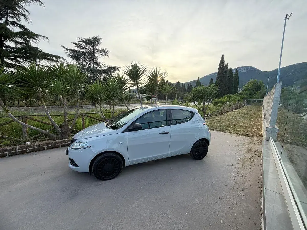 Usata Lancia Ypsilon Gold 69 CV (50 kW) 2020