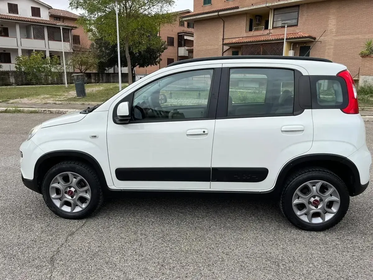 Usata Fiat Panda 4x4 S 75 CV (55 kW) 2015 Bianco Utilitaria