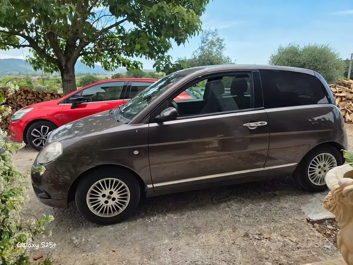 Usata Lancia Ypsilon 2009 Marrone Utilitaria