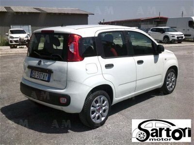 Usato 2020 Fiat Panda 1.0 El_Benzin 71 CV (8.500 €)