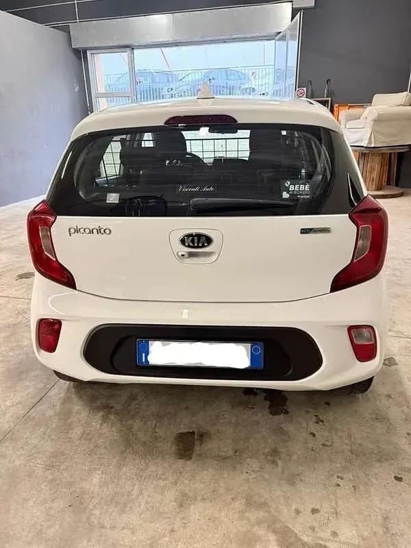 Usata Kia Picanto X-Line 65 CV (47 kW) 2020 Utilitaria
