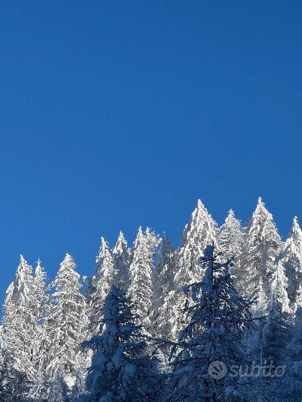 Usata Fiat 500 Sport 2016 Nero Utilitaria