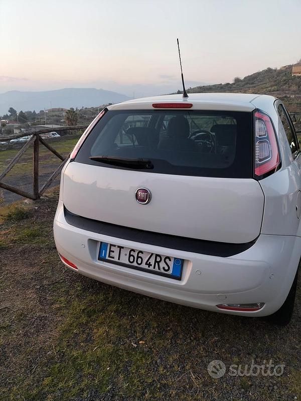 Usata Fiat Punto 75 CV (55 kW) 2014 Bianco Utilitaria