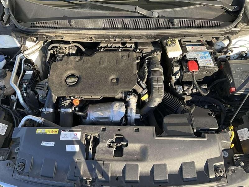 Usata Peugeot 308 Business-Line 131 CV (96 kW) 2019 Bianco Station wagon