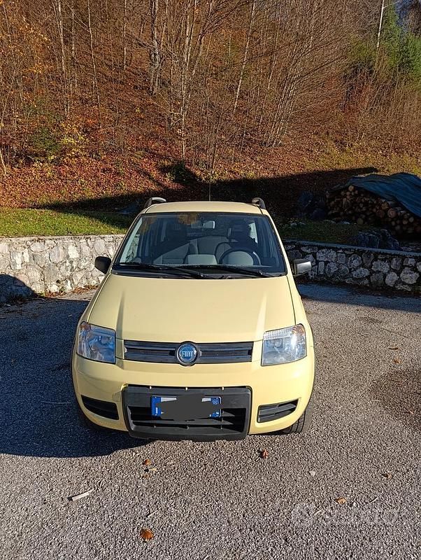 Usata Fiat Panda 4x4 69 CV (50 kW) 2006 Utilitaria