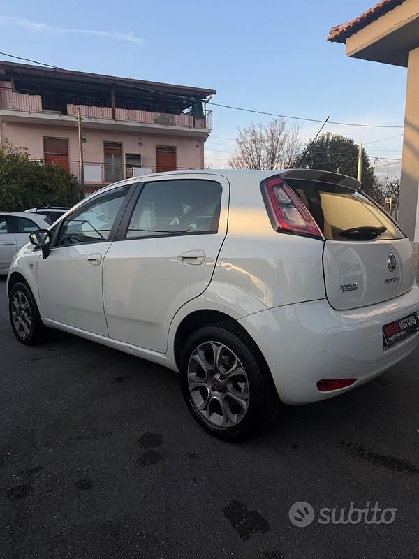 Usata Fiat Punto Easy 77 CV (56 kW) 2012 Bianco Utilitaria