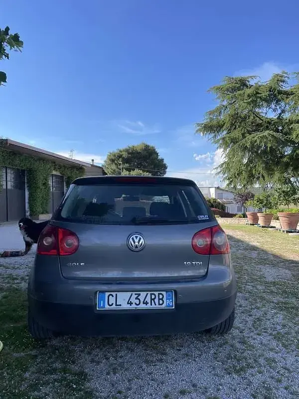 Usata VW Golf IV Comfortline 105 CV (77 kW) 2004 Grigio Berlina