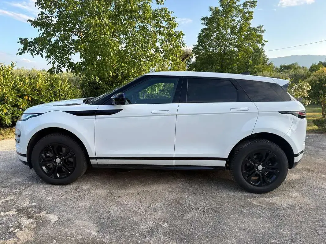 Usata Land Rover Range Rover evoque SE Dynamic 179 CV (131 kW) 2020 Bianco SUV