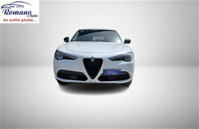 Usato 2020 Alfa Romeo Stelvio 2.1 Diesel 160 CV (28.990 €)