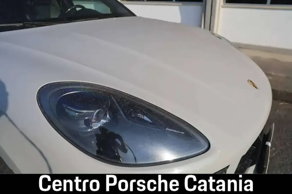 Usata Porsche Macan 441 CV (324 kW) 2021 Gesso SUV