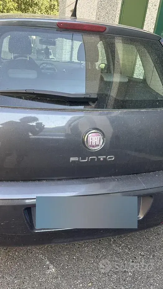 Usata Fiat Punto Evo 69 CV (50 kW) 2012 Grigio Utilitaria