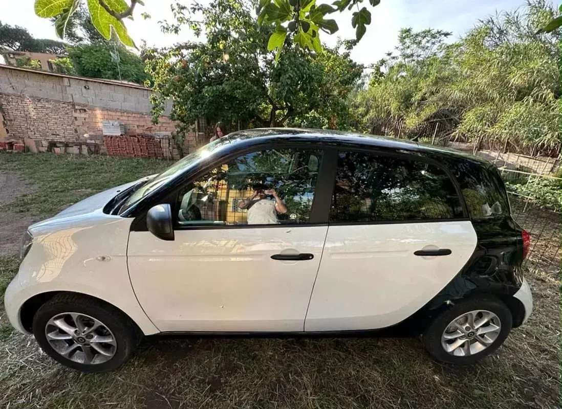 Usata Smart ForFour 71 CV (52 kW) 2019 Utilitaria