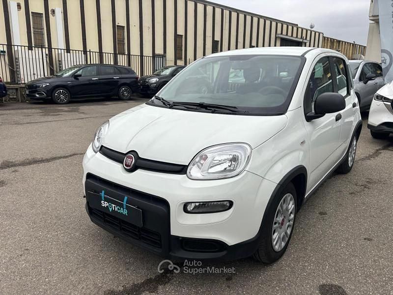 Usata Fiat Panda S 69 CV (50 kW) 2024 Bianco Utilitaria