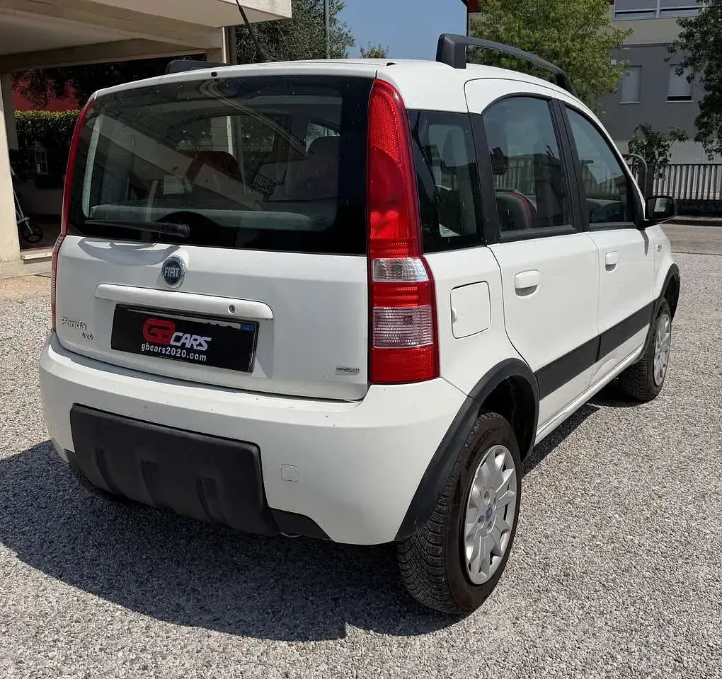 Usata Fiat Panda 4x4 Climbing 60 CV (44 kW) 2006 Bianco Utilitaria