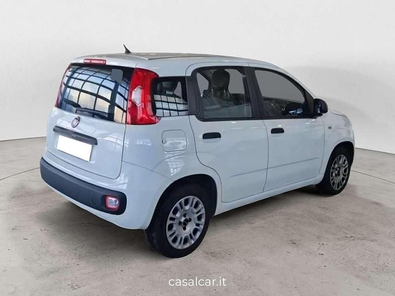 Usata Fiat Panda Easy 95 CV (69 kW) 2018 Bianco Utilitaria