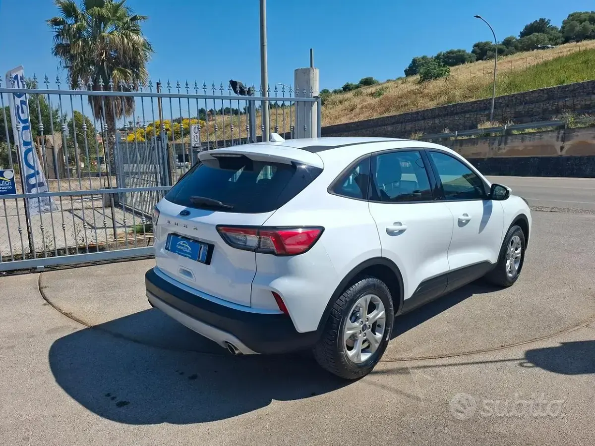 Usata Ford Kuga 120 CV (88 kW) 2022 Bianco SUV