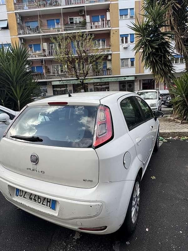 Usata Fiat Punto Evo Dynamic 77 CV (56 kW) 2009 Bianco Utilitaria