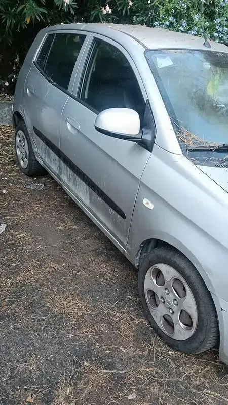 Usata Kia Picanto 60 CV (44 kW) 2009 Argento Utilitaria