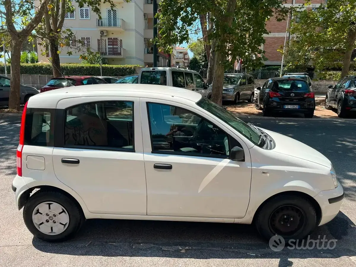 Usata Fiat Panda Active 54 CV (39 kW) 2008 Bianco Utilitaria