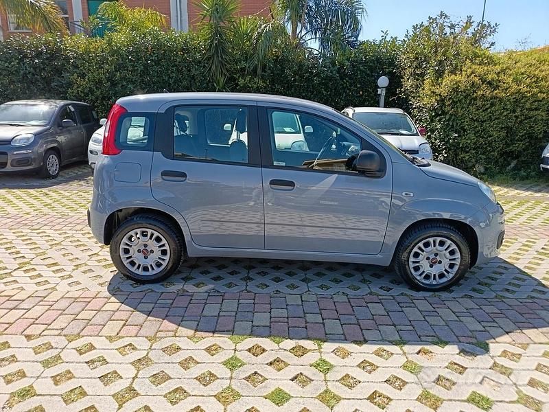 Usata Fiat Panda Easy 69 CV (50 kW) 2018 Grigio Berlina