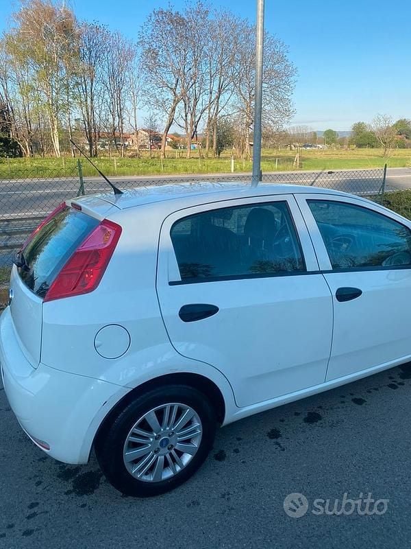 Usata Fiat Punto Evo 75 CV (55 kW) 2017 Bianco Utilitaria