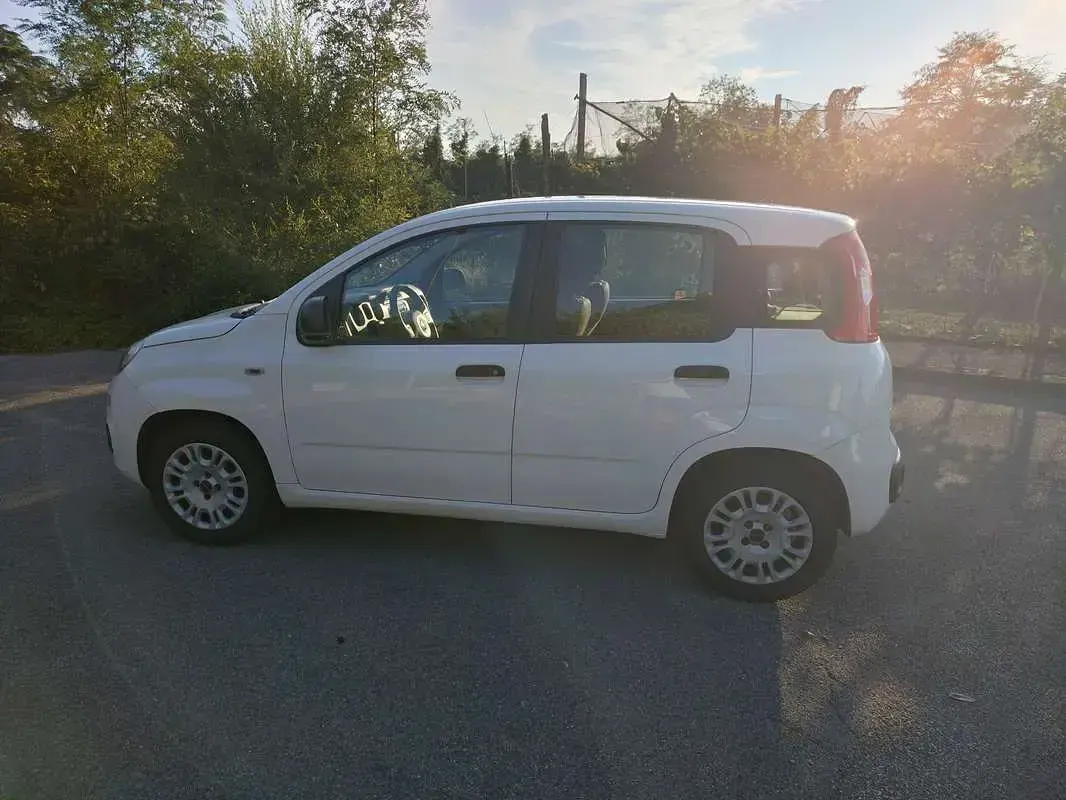 Usata Fiat Panda Easy 69 CV (50 kW) 2015 Bianco Utilitaria