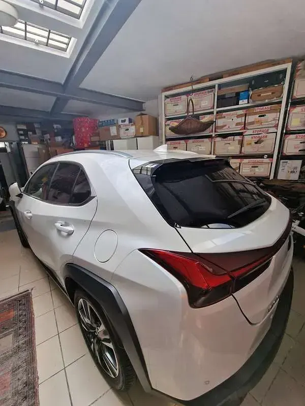 Usata Lexus UX 250h 184 CV (135 kW) 2020 Bianco SUV